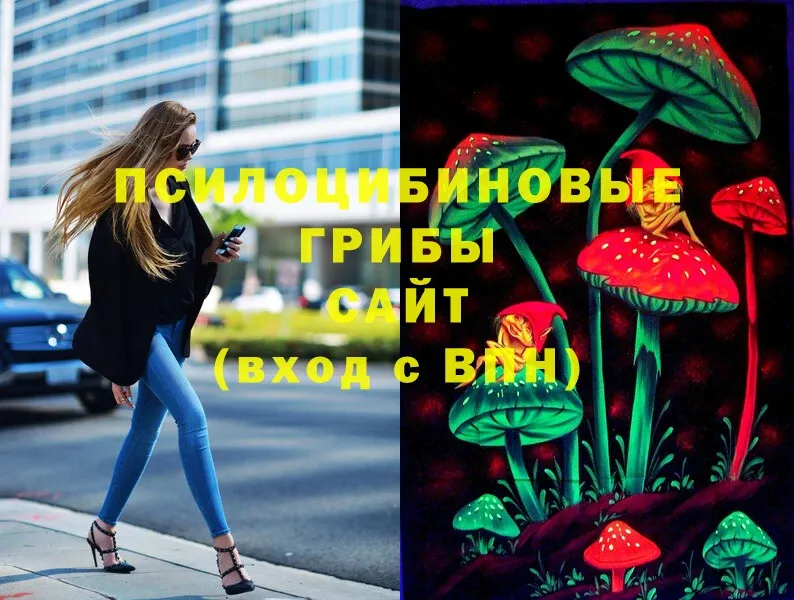 Галлюциногенные грибы Magic Shrooms  shop клад  Петровск-Забайкальский 